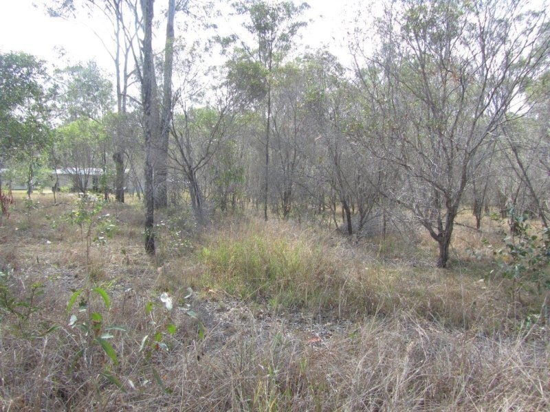 Lot 38 Bucca Road, Bucca QLD 4670