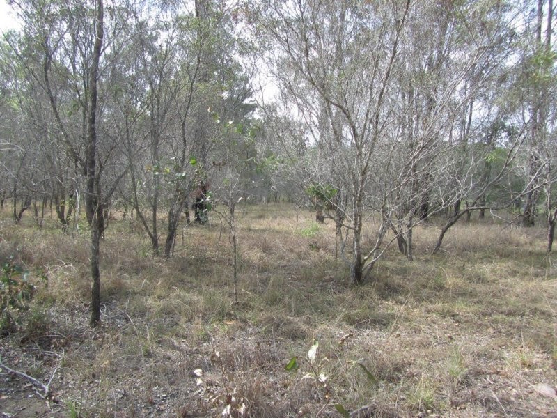 Lot 38 Bucca Road, Bucca QLD 4670