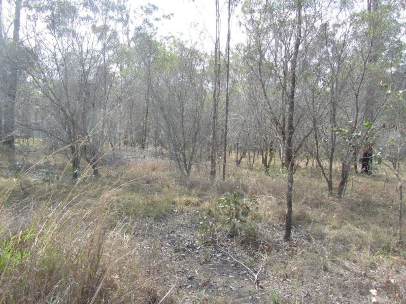 Lot 38 Bucca Road, Bucca QLD 4670
