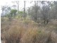Lot 38 Bucca Road, Bucca QLD 4670