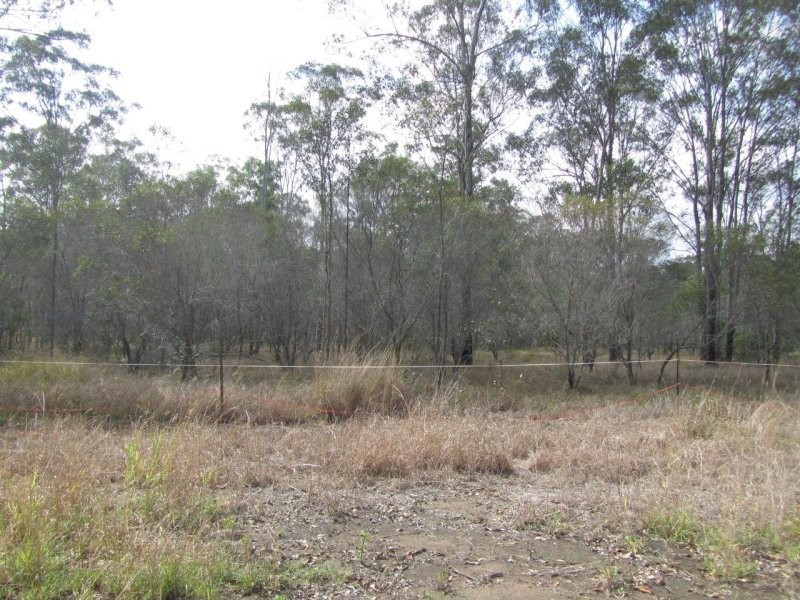 Lot 38 Bucca Road, Bucca QLD 4670