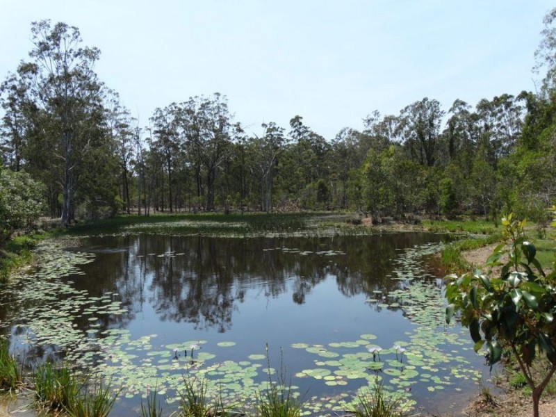 923 Winfield Road, Winfield QLD 4670