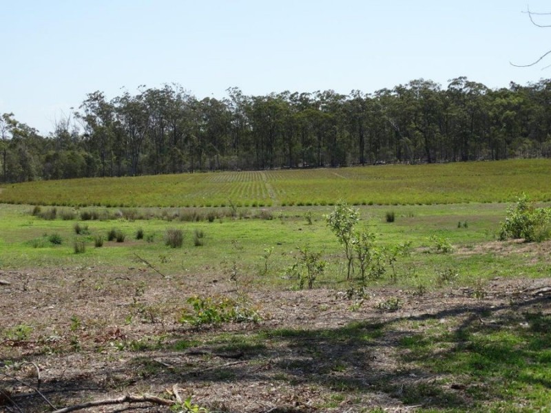 923 Winfield Road, Winfield QLD 4670