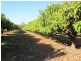 876 Pacific Drive, Deepwater QLD 4674