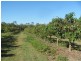 876 Pacific Drive, Deepwater QLD 4674