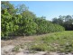 876 Pacific Drive, Deepwater QLD 4674
