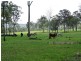254 Tableland Road, Taunton QLD 4674