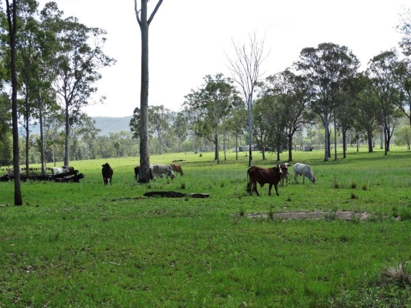 254 Tableland Road, Taunton QLD 4674