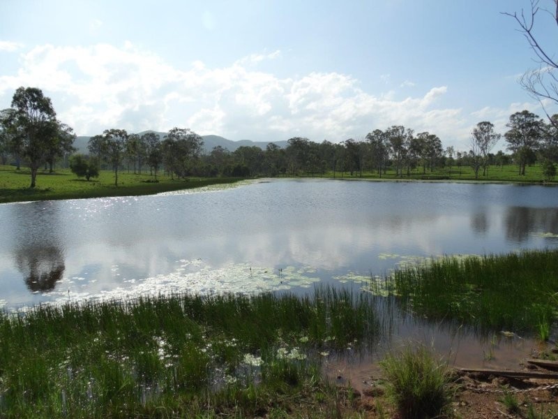 254 Tableland Road, Taunton QLD 4674