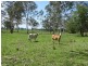 254 Tableland Road, Taunton QLD 4674