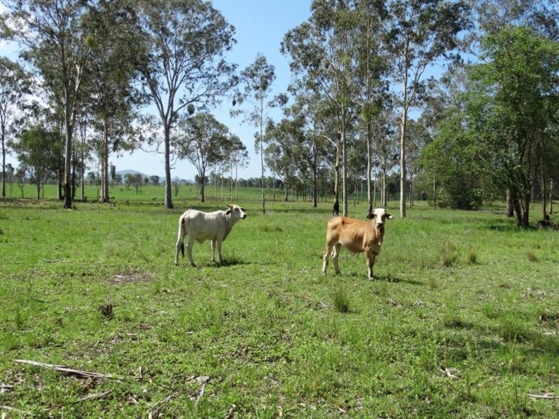 254 Tableland Road, Taunton QLD 4674