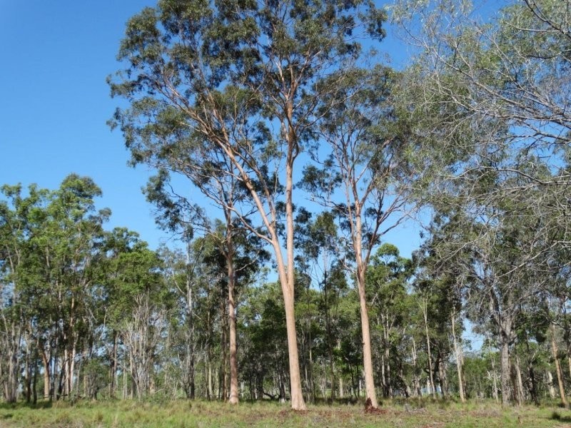 254 Tableland Road, Taunton QLD 4674