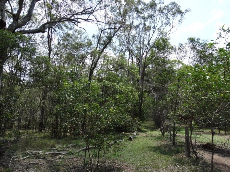 Lot 1 Brauer Road, Mount Maria QLD 4674