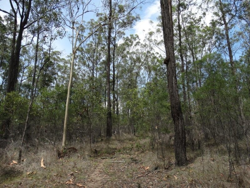 Lot 1 Brauer Road, Mount Maria QLD 4674