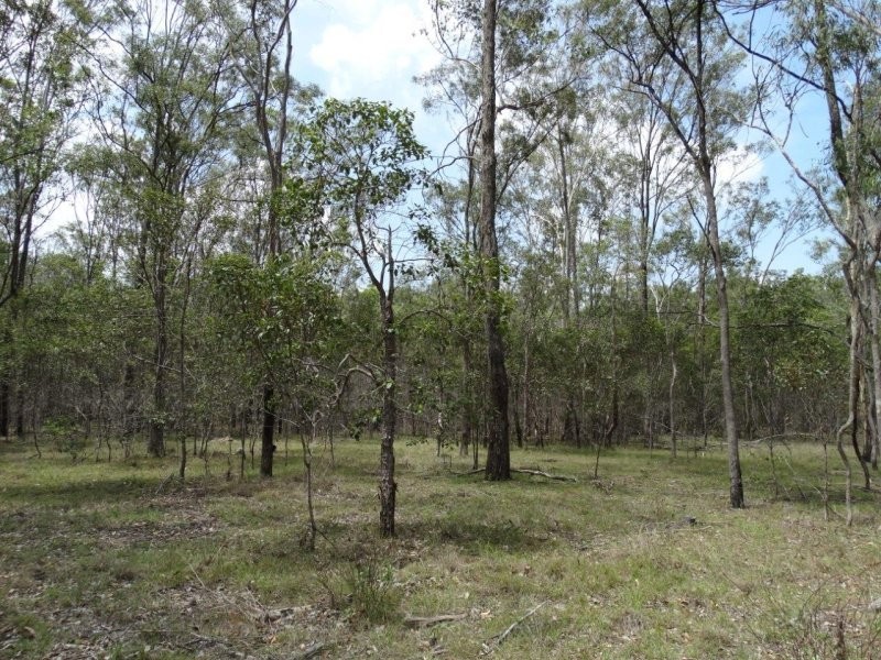 Lot 1 Brauer Road, Mount Maria QLD 4674