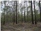 Lot 1 Brauer Road, Mount Maria QLD 4674