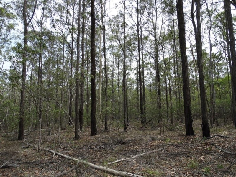 Lot 1 Brauer Road, Mount Maria QLD 4674