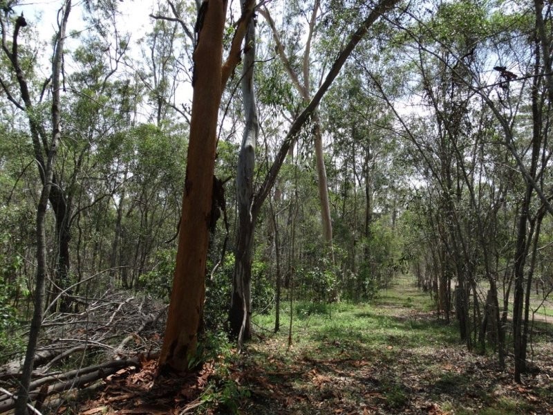 Lot 1 Brauer Road, Mount Maria QLD 4674
