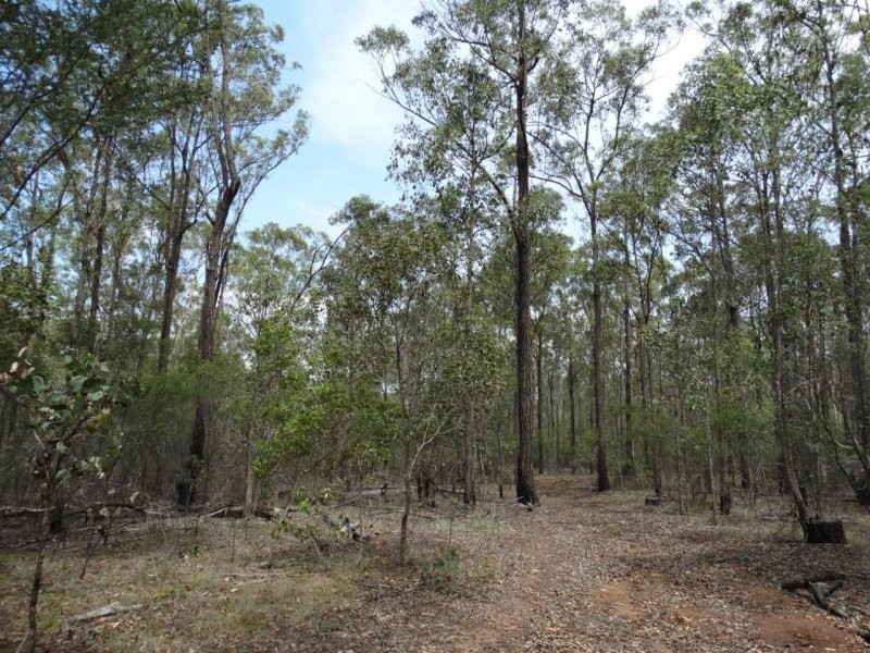 Lot 1 Brauer Road, Mount Maria QLD 4674