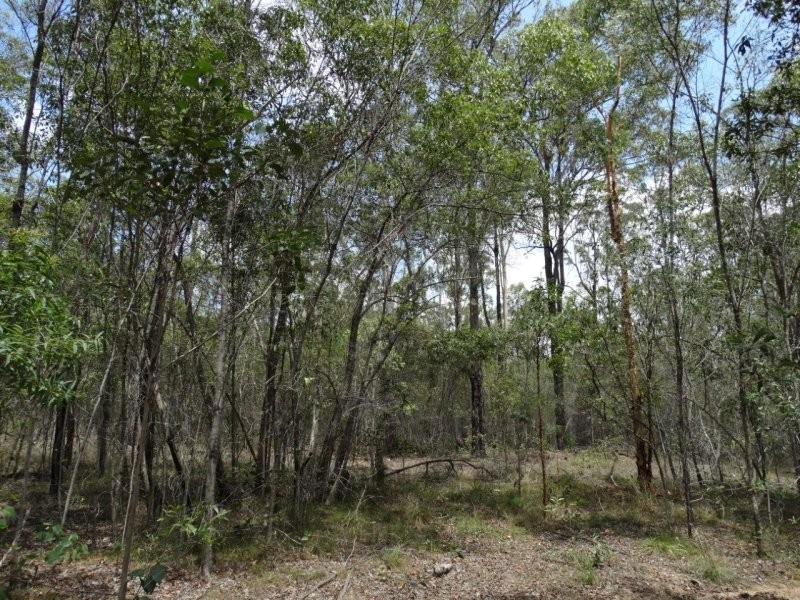Lot 1 Brauer Road, Mount Maria QLD 4674