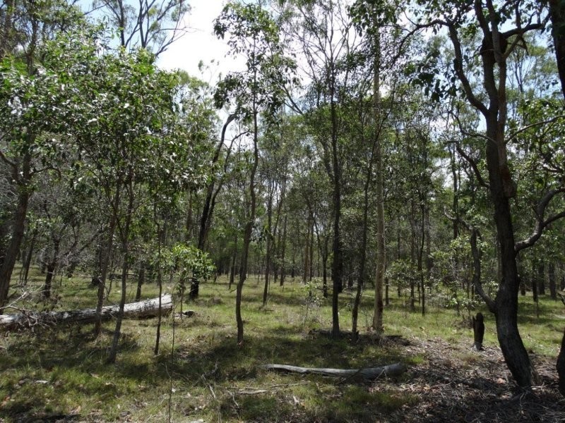 Lot 1 Brauer Road, Mount Maria QLD 4674