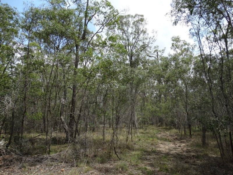 Lot 1 Brauer Road, Mount Maria QLD 4674