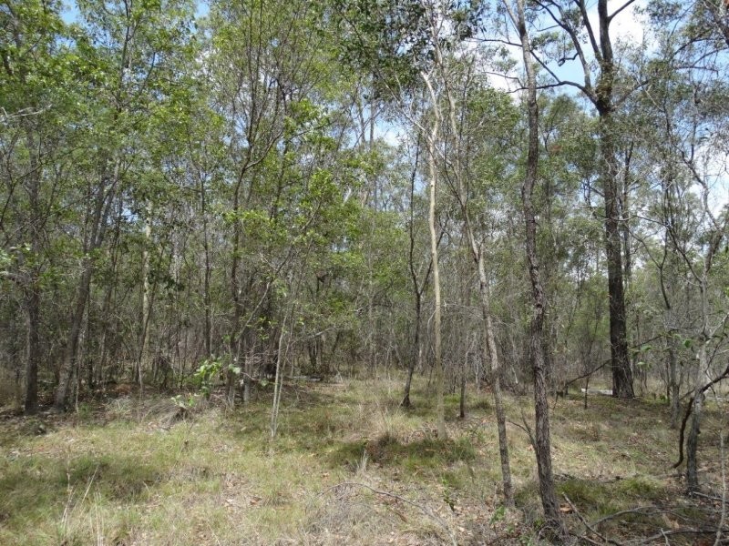 Lot 1 Brauer Road, Mount Maria QLD 4674