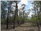 Lot 1 Brauer Road, Mount Maria QLD 4674