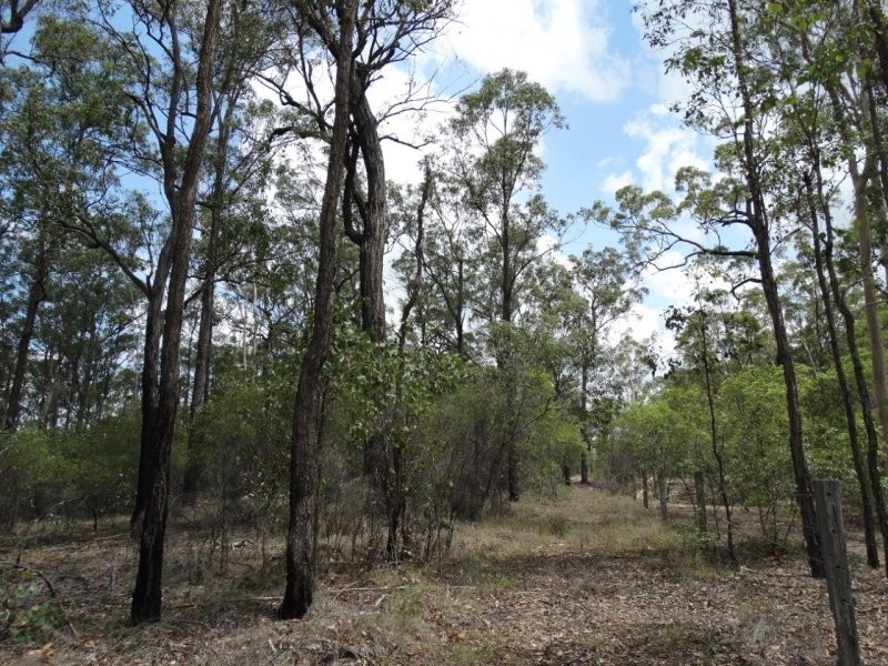 Lot 1 Brauer Road, Mount Maria QLD 4674