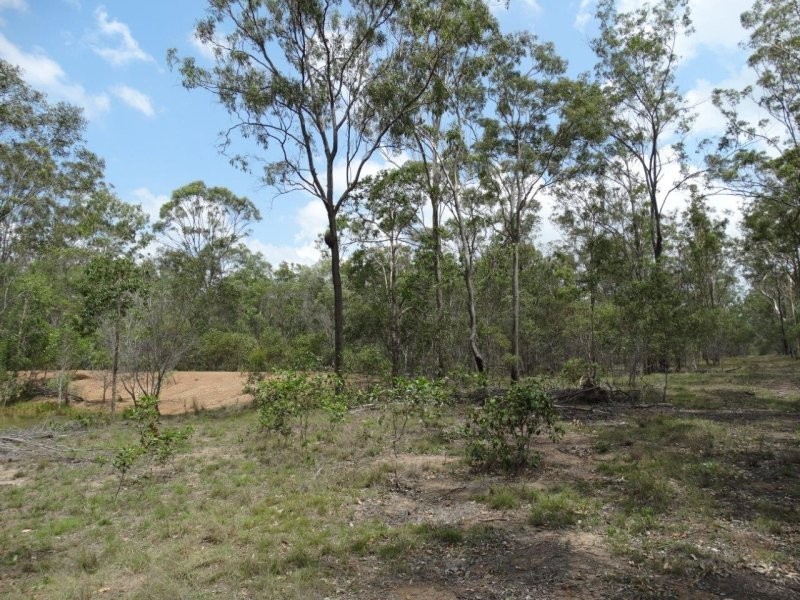Lot 1 Brauer Road, Mount Maria QLD 4674