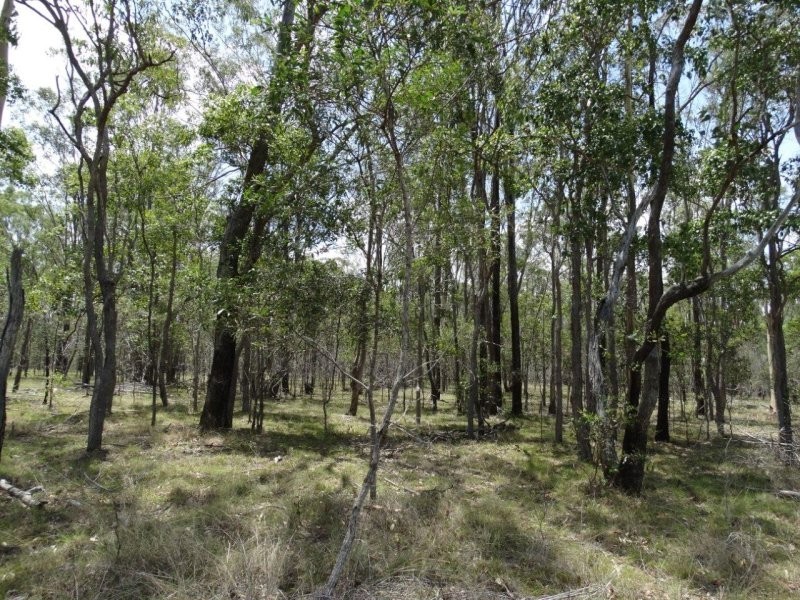 Lot 1 Brauer Road, Mount Maria QLD 4674