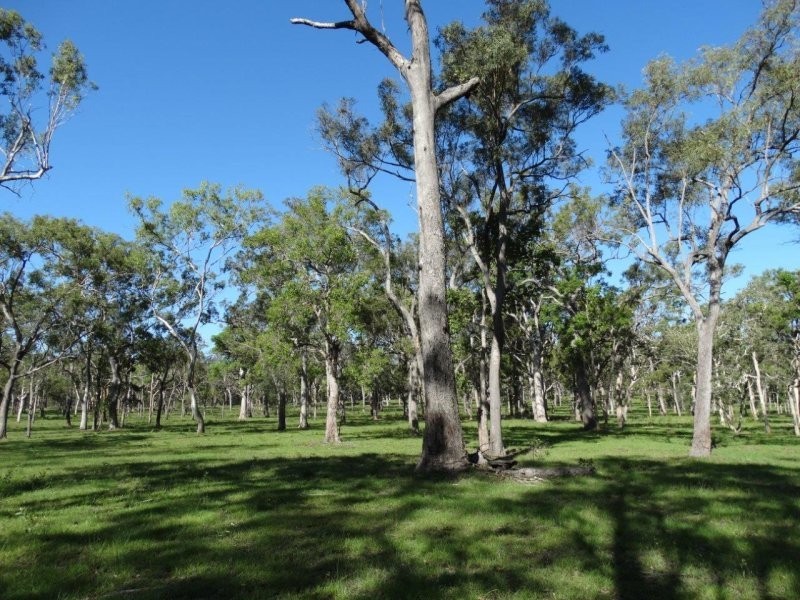Lot 61 Munchton Road, Baffle Creek QLD 4674
