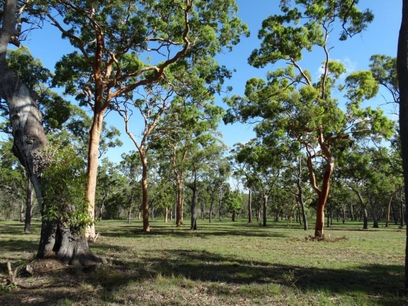 Lot 61 Munchton Road, Baffle Creek QLD 4674