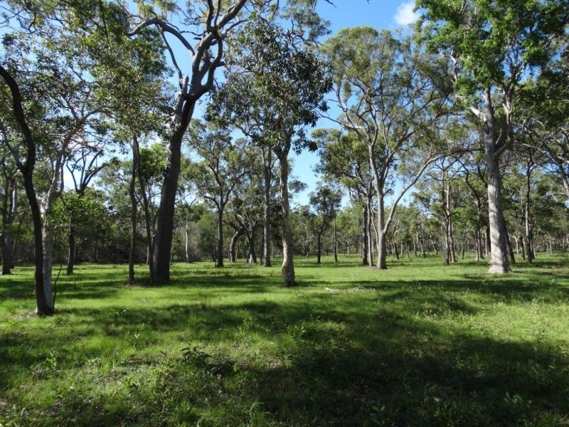 Lot 61 Munchton Road, Baffle Creek QLD 4674