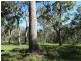 Lot 61 Munchton Road, Baffle Creek QLD 4674