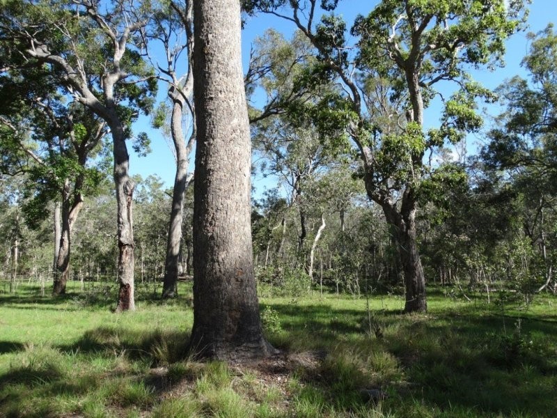 Lot 61 Munchton Road, Baffle Creek QLD 4674