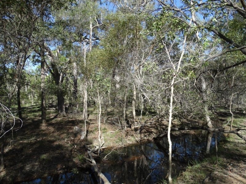 Lot 61 Munchton Road, Baffle Creek QLD 4674