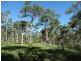 Lot 61 Munchton Road, Baffle Creek QLD 4674