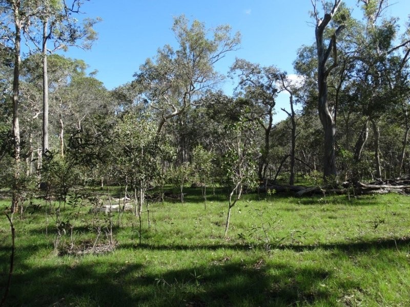 Lot 61 Munchton Road, Baffle Creek QLD 4674