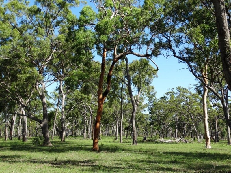 Lot 61 Munchton Road, Baffle Creek QLD 4674