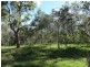 Lot 61 Munchton Road, Baffle Creek QLD 4674