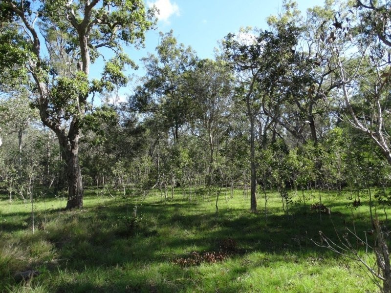Lot 61 Munchton Road, Baffle Creek QLD 4674