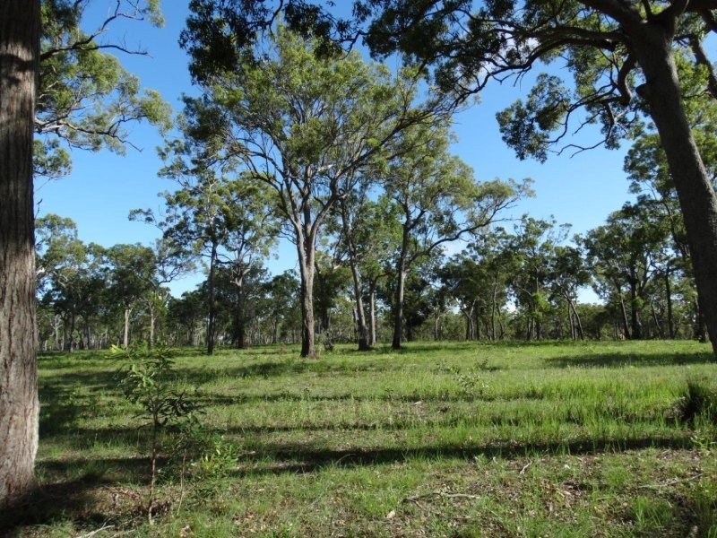 Lot 61 Munchton Road, Baffle Creek QLD 4674
