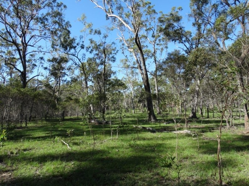 Lot 61 Munchton Road, Baffle Creek QLD 4674