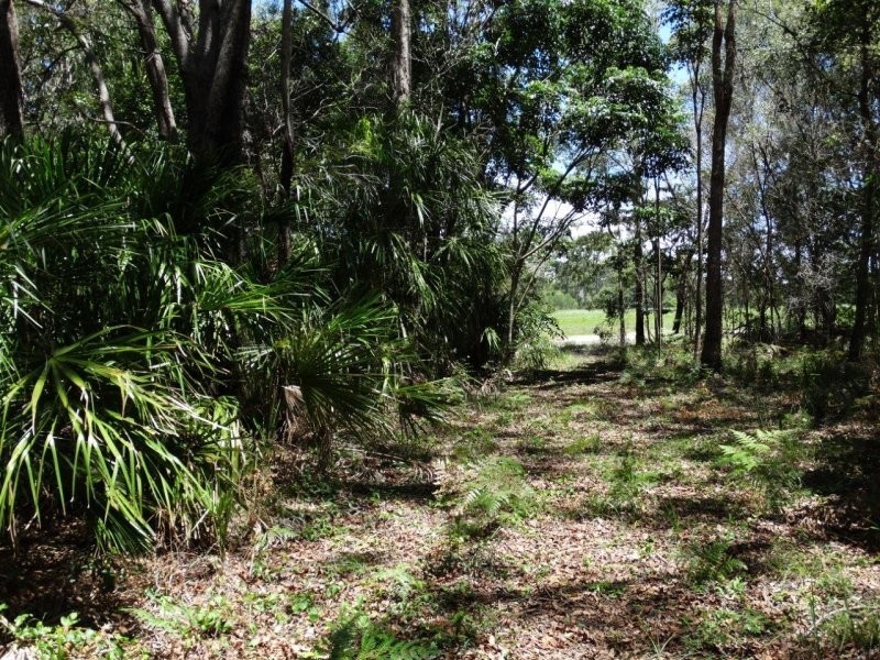 700 Fernfield Road, Deepwater QLD 4674