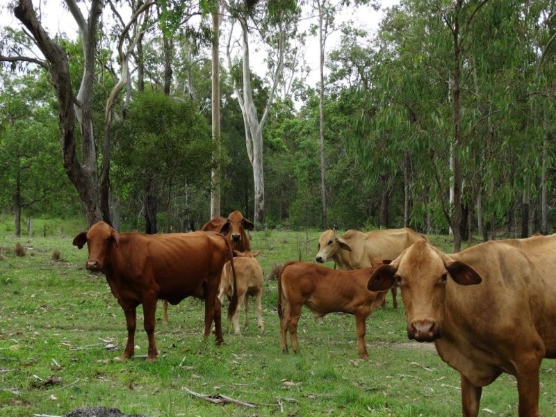 Lot 3 Old Toweran Road, Berajondo QLD 4674