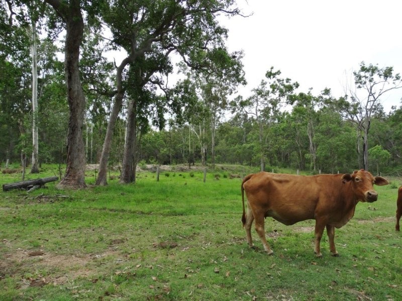 Lot 3 Old Toweran Road, Berajondo QLD 4674