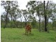 Lot 3 Old Toweran Road, Berajondo QLD 4674
