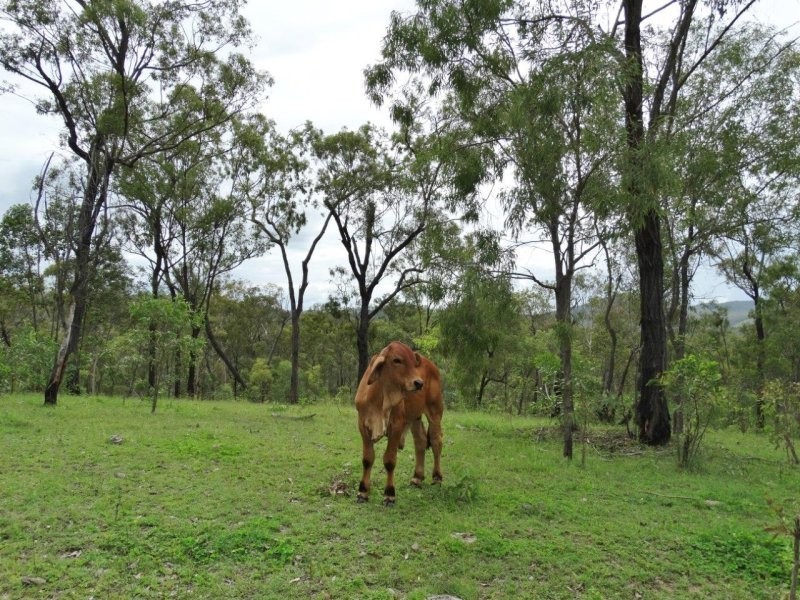 Lot 3 Old Toweran Road, Berajondo QLD 4674