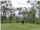 Lot 3 Old Toweran Road, Berajondo QLD 4674